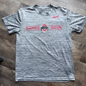 Gray Nike Ohio State Buckeye Nation Dri-FIT Tee